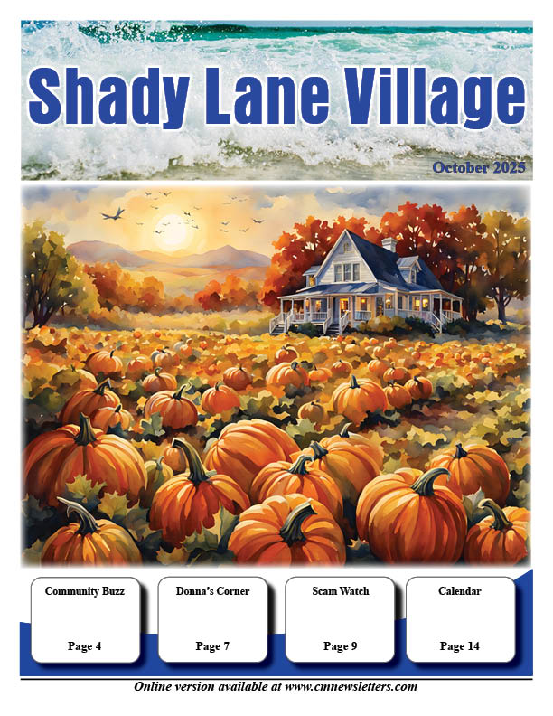 Shady Lane Village